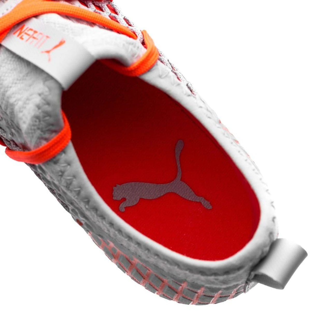 PUMA Future 4.3 Netfit FG/AG Anthem